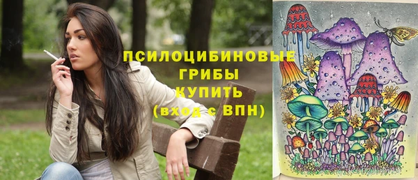винт Алзамай